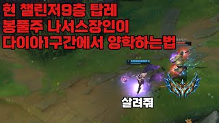 현 챌린저9층 탑레 탑나서스장인이 다이아1구간 양학하는법