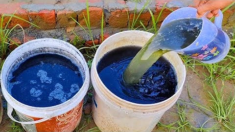 This Microbes-Rich Liquid Explodes Plant Growth! (Turn Dead Soil to Super Soil FAST!)