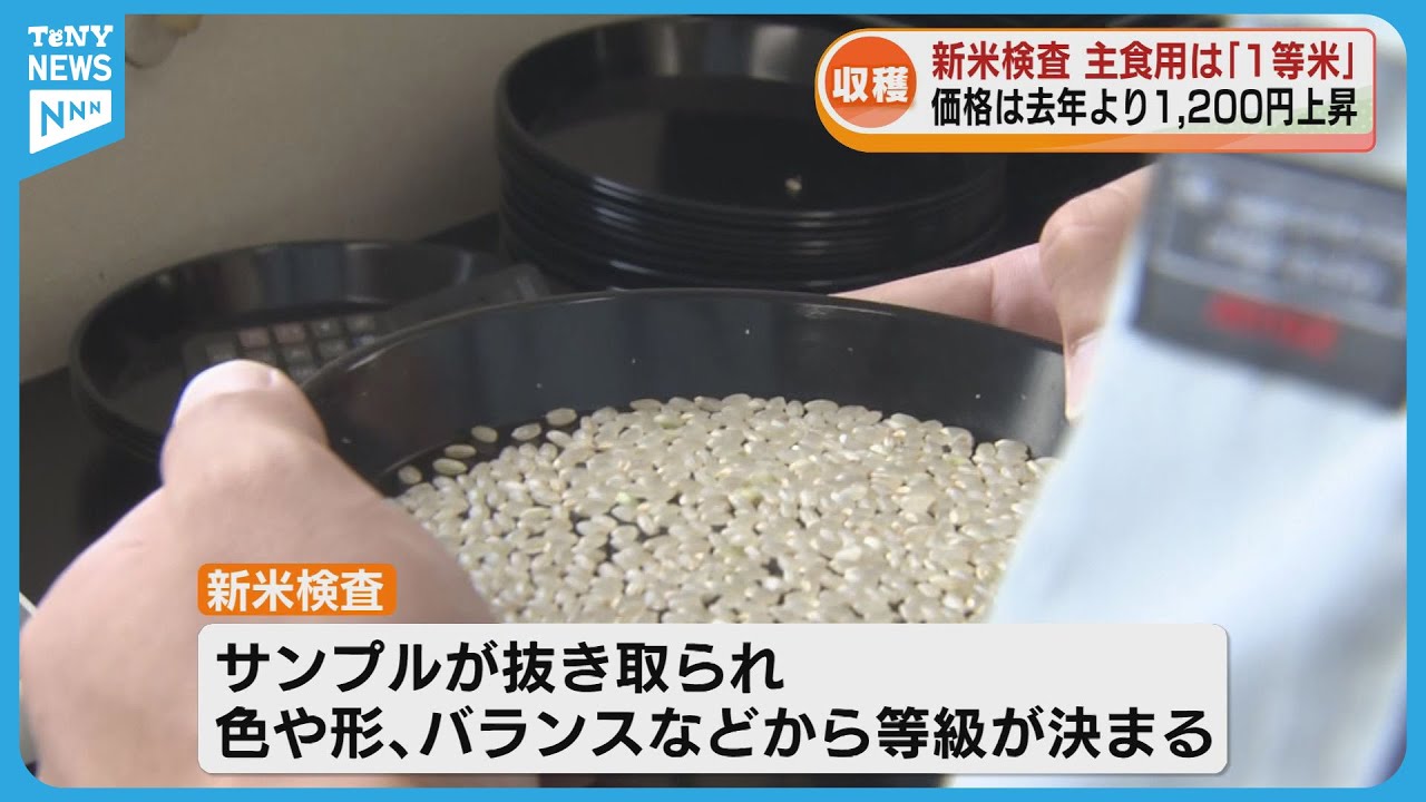 Harvest] Inspection of new rice from early-maturing