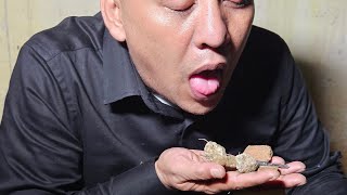 [live]DITANTANG RAJA BANASPATI&PULUHAN MURIDNY