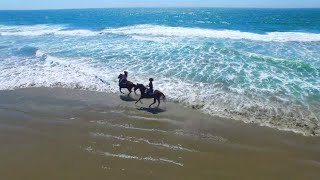 La Selva Beach, CA, Drone Video Tour, Bryan MacKenzie, Realtor, Coldwell Banker