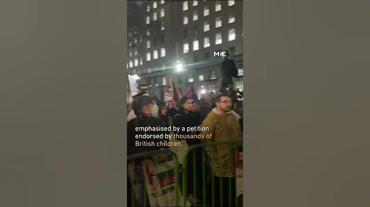 Mass sit-in for Gaza ceasefire: UK petition demands child protection