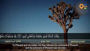 تلاوة خاشعة من سورة هود - القارئ فيصل الرشود