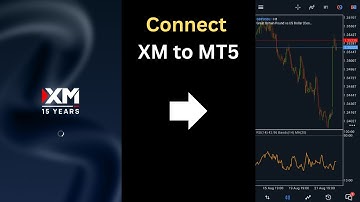 Cómo conectar XM a Metatrader 5 (Cómo vincular su cuenta de trading de XM a MT5)