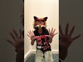 You are loved ❤️ #therian #theriangear #therianthropy #fox