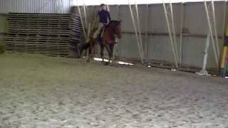 S1050661.AVI