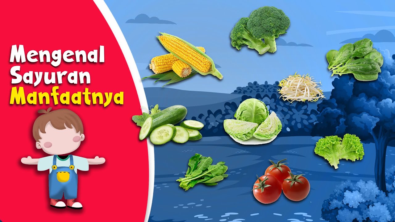Belajar Mengenal Nama-Nama Sayur & Manfaatnya | Video Edukasi Anak