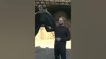 В КЧР РАЗВОДЯТ УНИКАЛЬНЫХ ЛОШАДЕЙ