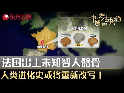 法国出土未知智人髂骨，人类进化史或将因此重新改写！#中国考古报道