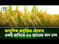 আধুনিক প্রযুক্তির ছোঁয়ায় একই জমিতে ৫৬ জাতের ধান চাষ | NTV News