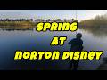 SPRING AT NORTON DISNEY!!!