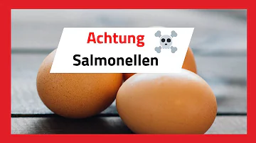 Wo befinden sich die Salmonellen im Ei?