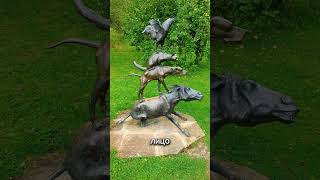 удивитЕльные видео #shorts#юмор