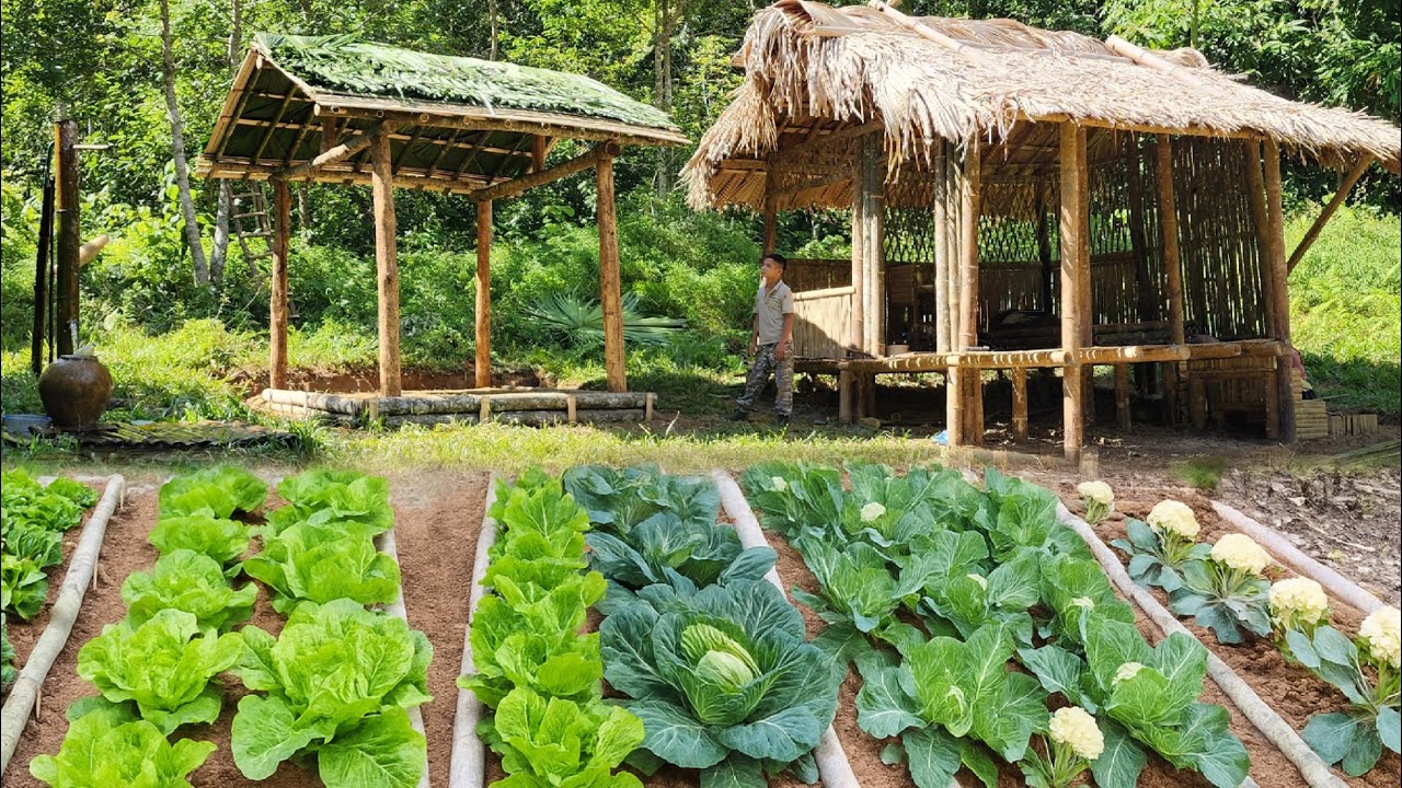 ATIMELAPSE: CEO earns a living, raises fish, grows vegetables, builds a house on the mountain