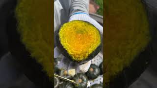 Agriculture Village Fresh Fruit #Viral #Fruit #Shorts #1079