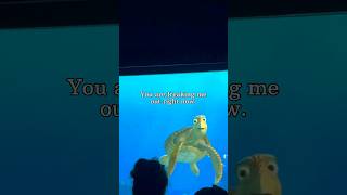 Mermaid Cave Turtle Talk With Crush