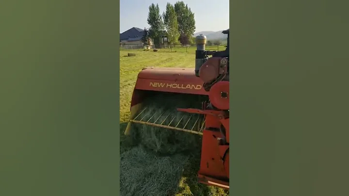 Baling hay with Oliver 880 and VG4D Wisconsin on a...