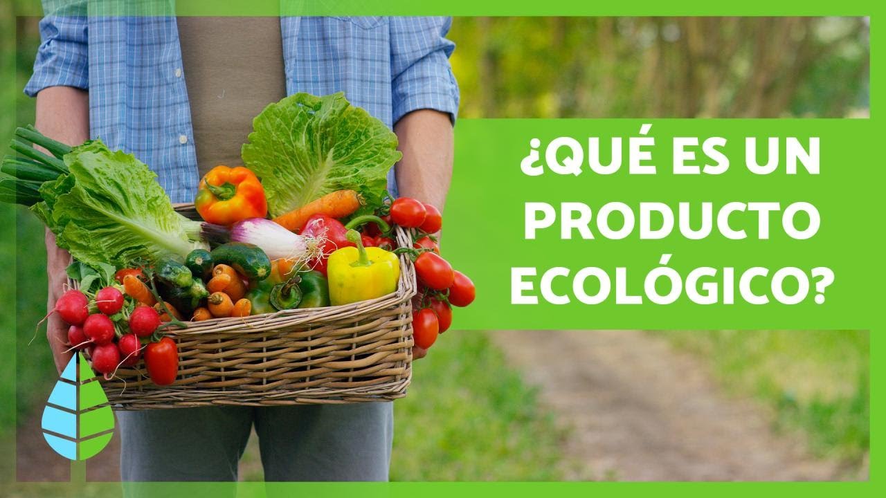 PRODUCTOS ECOLÓGICOS 🌏🌱 (Qué son, Beneficios y Ejemplos)
