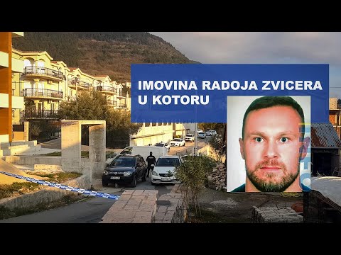 Lupa: Imovina Radoja Zvicera koju katastar nije evidentirao HD