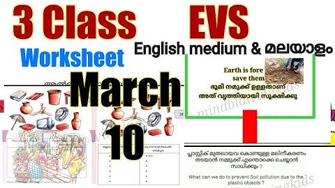 Class 3 Evs worksheet march 10|3 std evs|victers std 3 evs class|parisarapadanam|evs