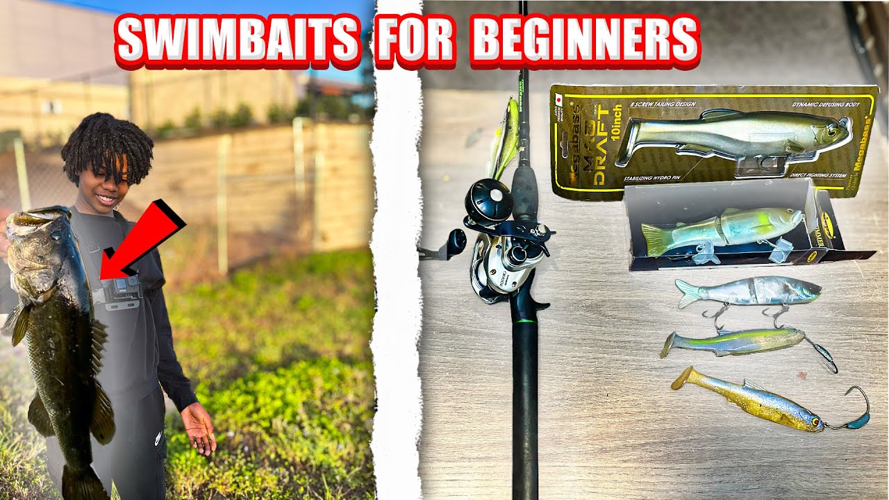 SWIMBAIT FISHING FOR BEGINNERS