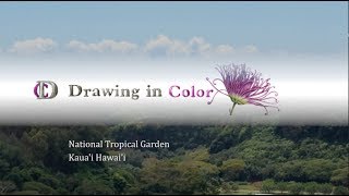 DRAWING IN COLOR with Wendy Hollender at the National Tropical Botanical Garden