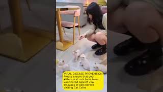 Travels Malaysia. Hamcup Mini-Zoo And Cafe In Penang