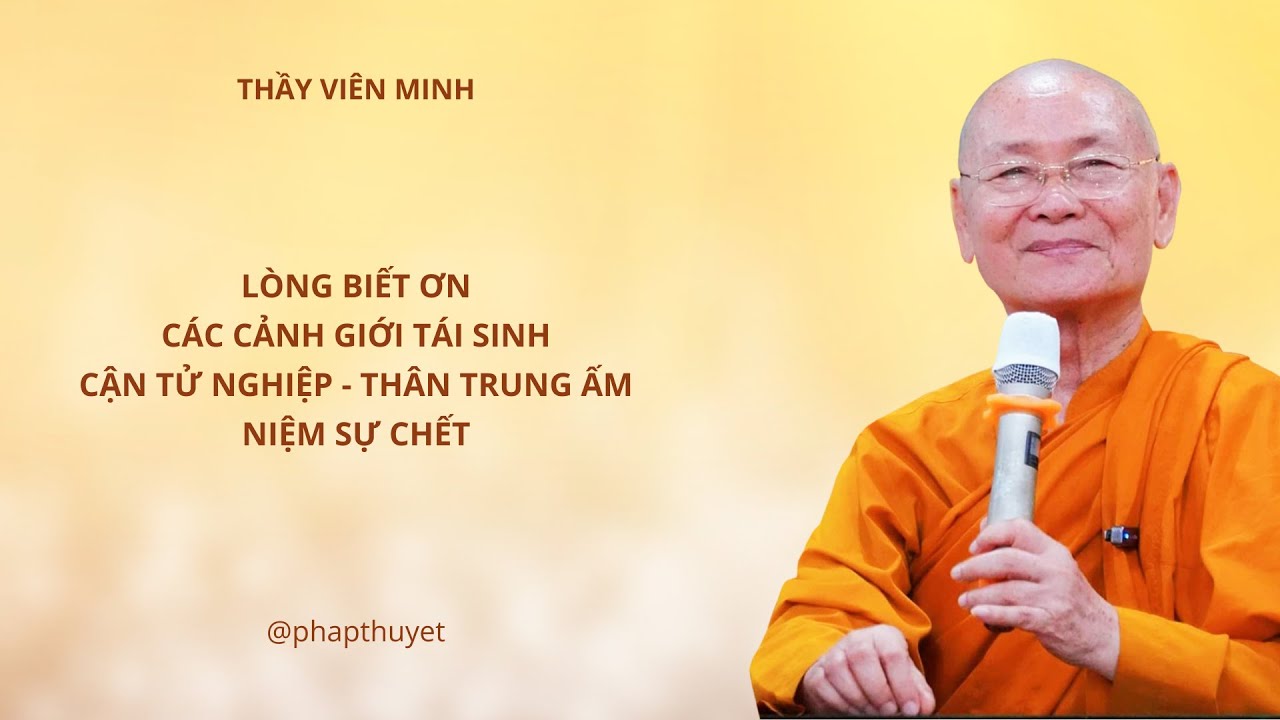 Các cảnh giới tái sinh - Cận Tử Nghiệp - Thân Trung Ấm hay Cõi Âm |  Thầy Viên Minh