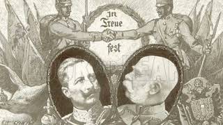 The Austro-German Alliance In World War 1 Partnerships, Challenges, And The Dual Monarchys Demise