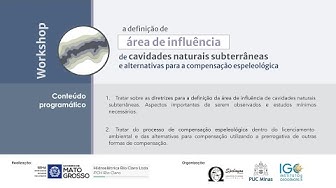 Vídeo Institucional - Spelayon Consultoria 2023 