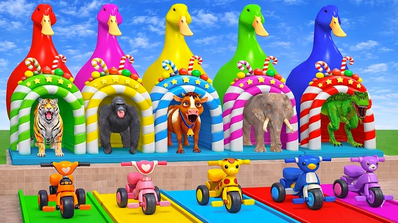 Long Slide Game With Cow Elephant Gorilla Hippopotamus Tiger 3d Animal Game Funny 3d Animals