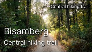 Vienna's Secret Sunset Spot? Hiking the Bisamberg hill in August. Central trail screenshot 4
