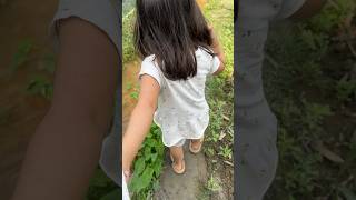 রইহ সনপখ আমমর হত ধর রসত পর হচছ