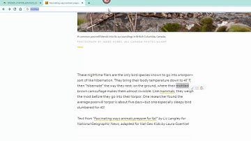 Drag and Drop Search in Google Chrome