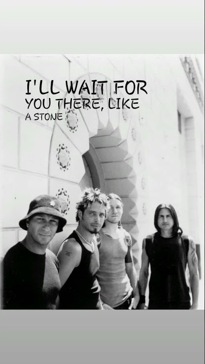 Like a stone.. #audioslave #short #shortvideo #audioslave