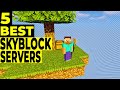 🤩 5 Best Skyblock Servers YOU Should Play in Minecraft 2020! 🤩