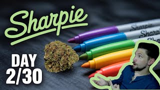 TRYING SHARPIE DAY 2/30 #JKSUMMERHARVEST