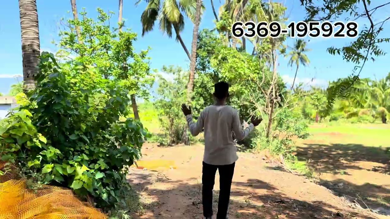 தென்காசி மாவட்டம் கடையம் பொட்டல்புதூர் அருகே 2.39 தென்னை நிலம் உள்ளது ஏக்கருக்கு வெறும் 30 லட்சம் 