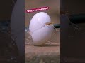 Arrows in SLOWMO! 🏹
