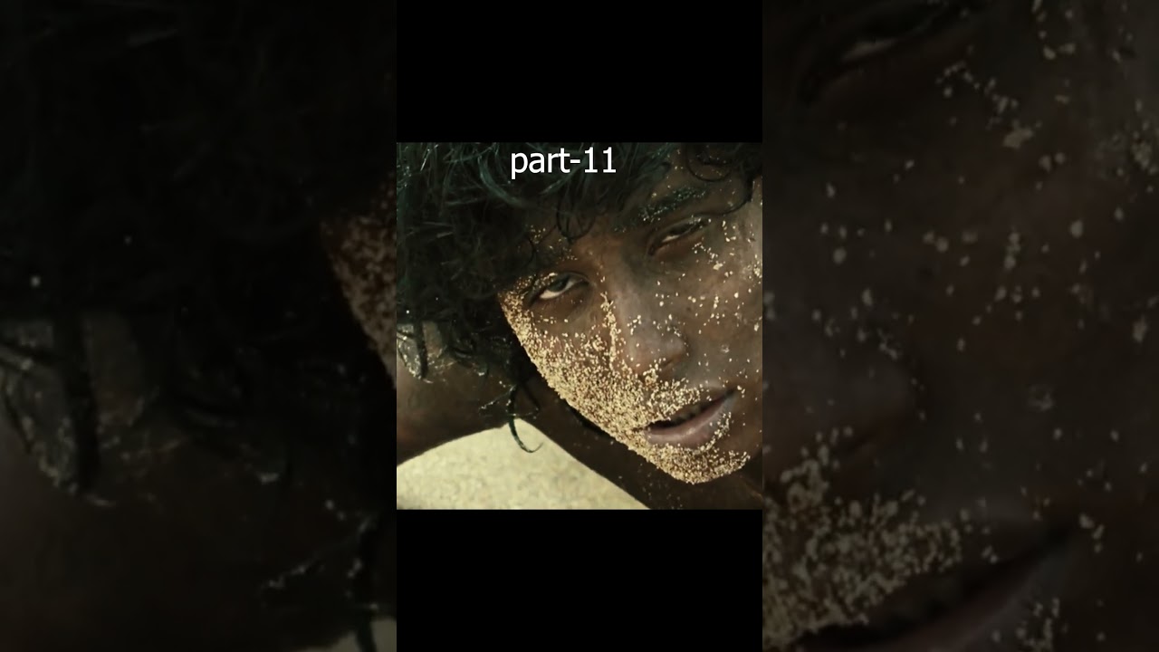 समुद्र में फंसे लड़के की अनुभव भरी कहानी" l life Of Pie Movie Recap in hindi