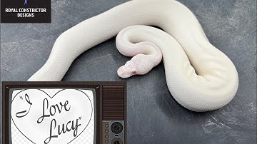 I love Lucy(s), do you??