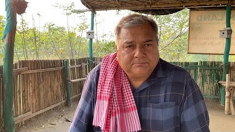 Is transplantation of mature trees a good idea?