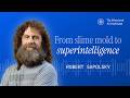 Robert Sapolsky: From Slime Mold to Superintelligence | The Behavioral AI Institute