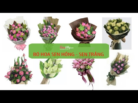 Video Ngắm hàng trăm mẫu bó hoa sen đẹp nhất tại Hoavily.com... - youtube