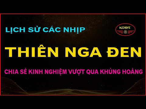 Video Lịch sử các nhịp 