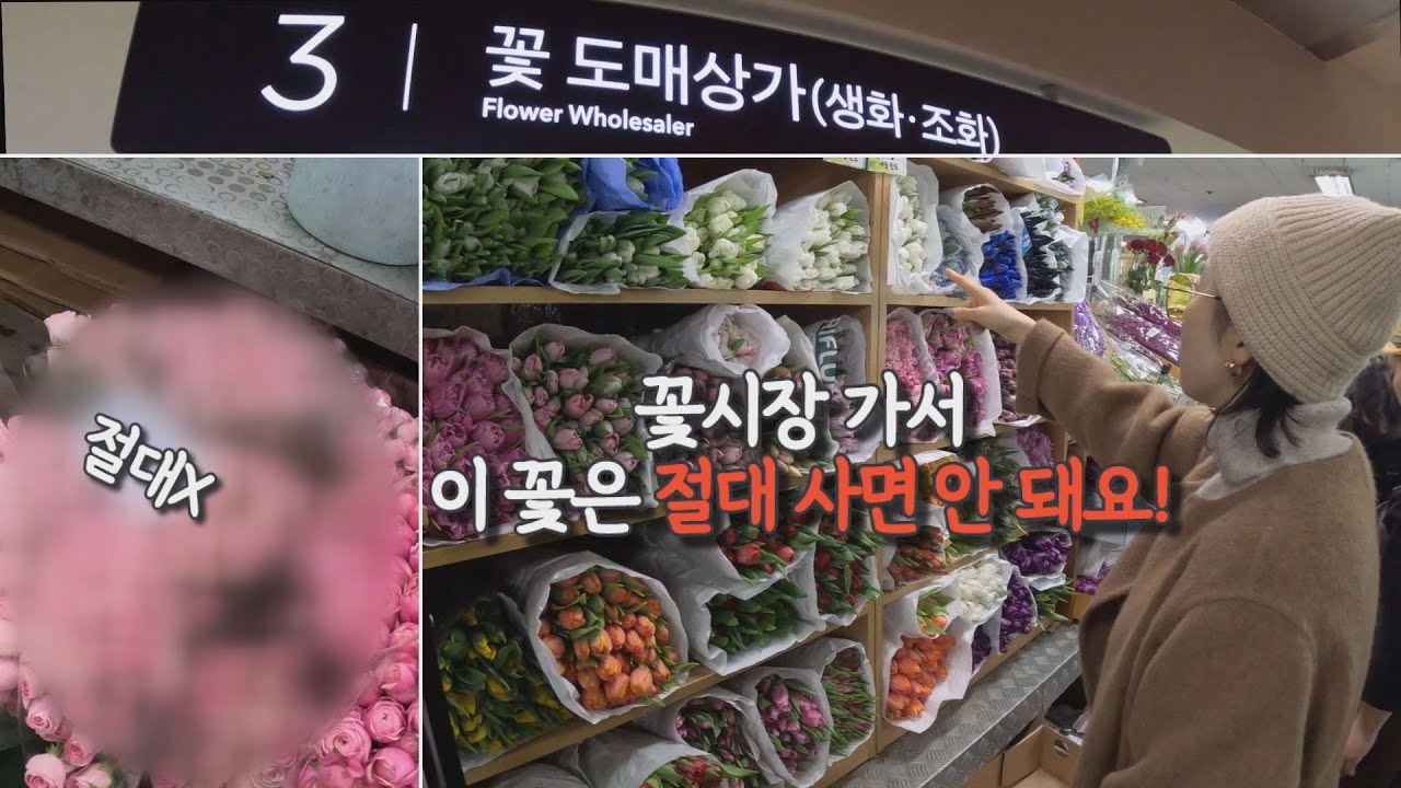 고속터미널 꽃시장 다녀왔습니다~ 꽃 구매 요령, 절대 사면 안되는 꽃! 제철꽃 추천해드려요~