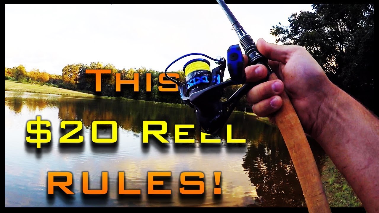 KastKing Centron Spinning Reel 20 Ned Rig Pond Bass Fishing with The Best Affordable Fishing