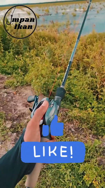Apa hal yang menyebalkan saat mancing Pilih yang pernah kamu alami!