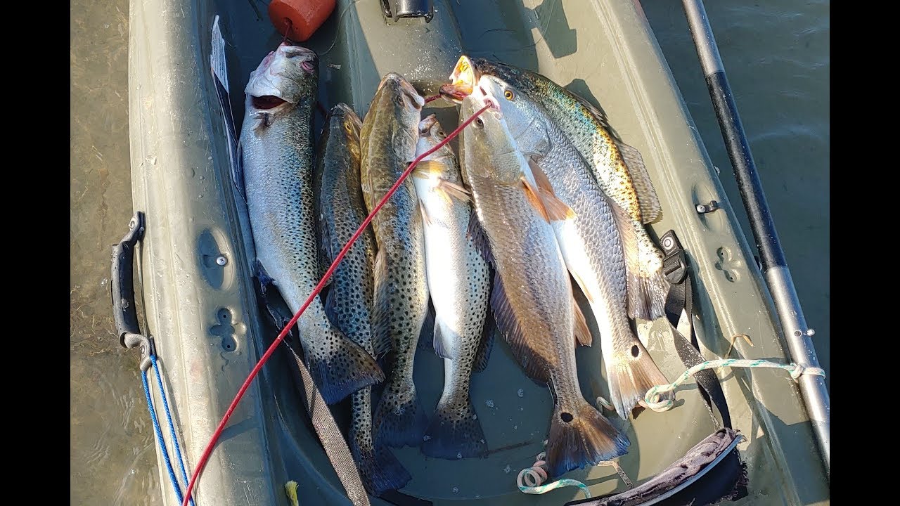 12-8-2019 SPI Fishing (Trouts & Reds)
