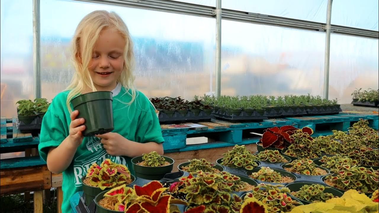 Riverbend Rock & Mulch New GreenHouse! YouTube